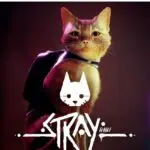 STRAY PS5