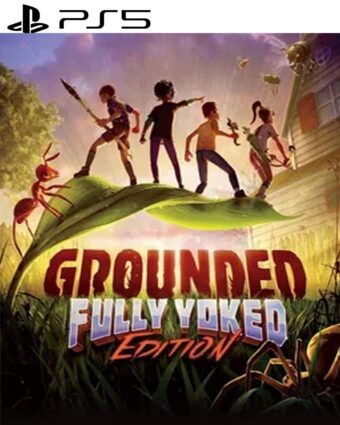 Grounded PS5