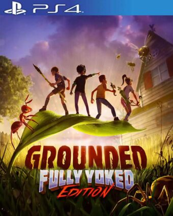 Grounded PS4
