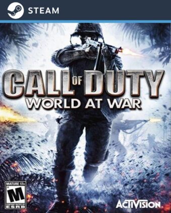 Call of Duty: World at War - STEAM