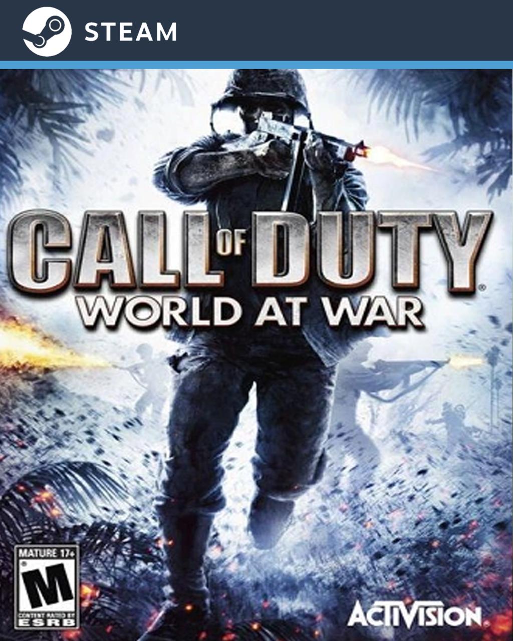 Call of Duty: World at War - STEAM